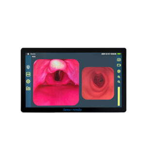 Sensorendo® DP-X Imaging Display