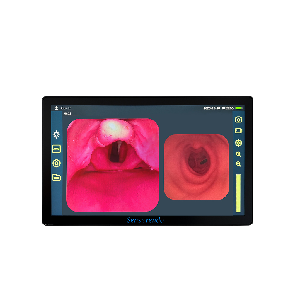 Sensorendo® DP-X Imaging Display
