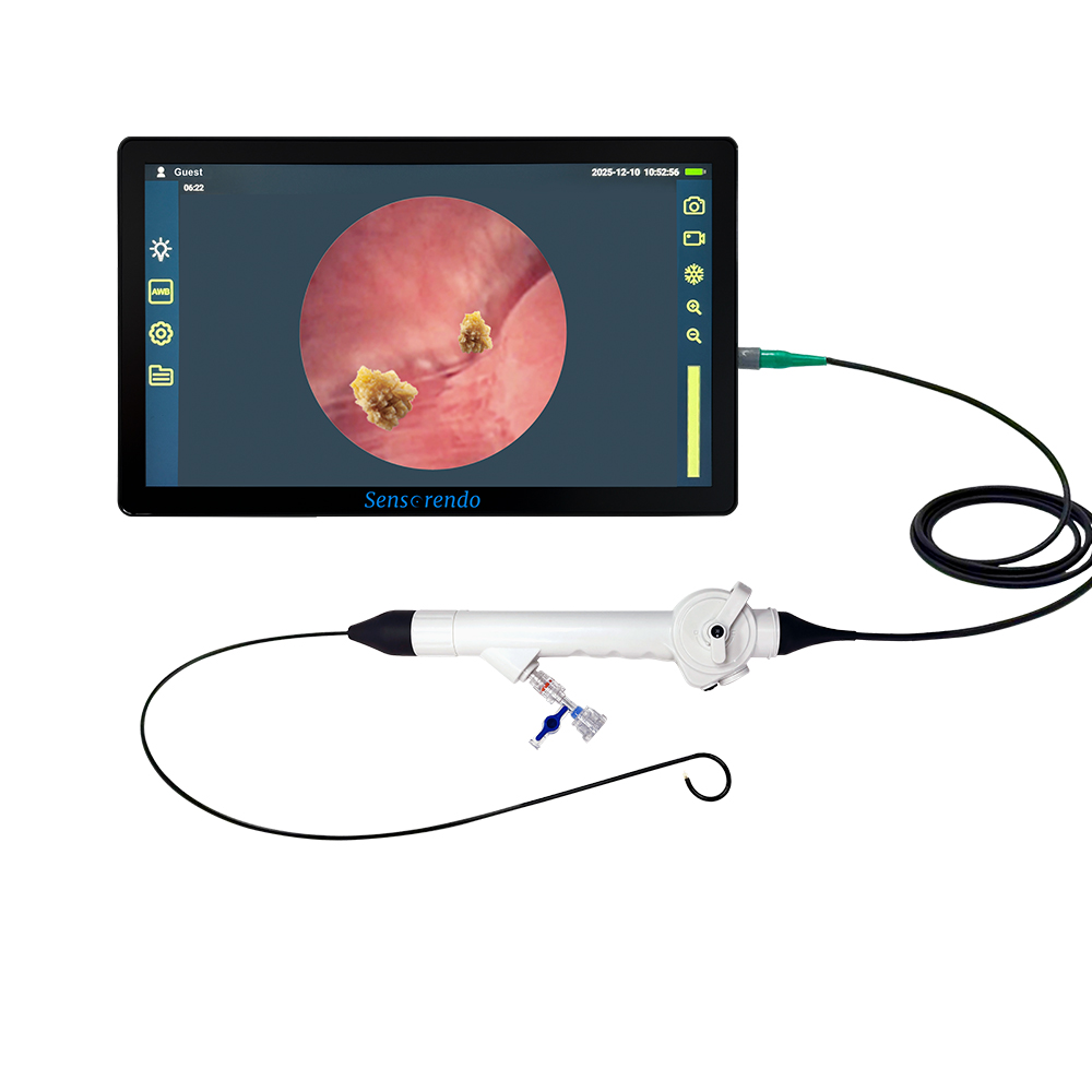 Sensorendo® Disposable Flexible Ureterorenoscope S-DUS